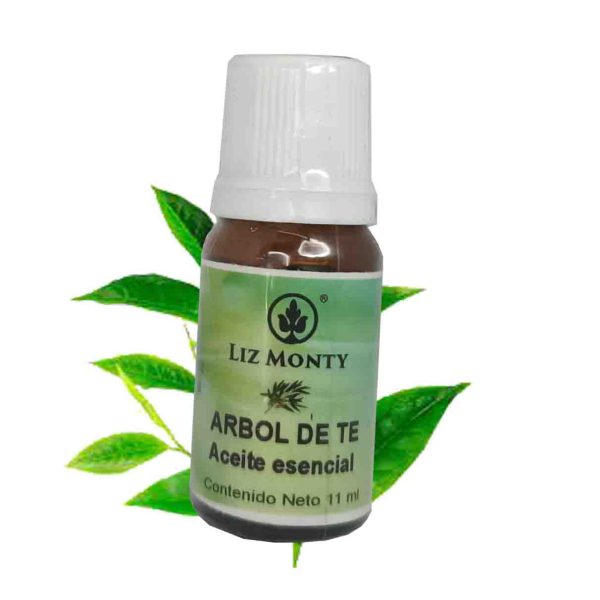 aceite arbolde te hoja cv Aceite árbol de té